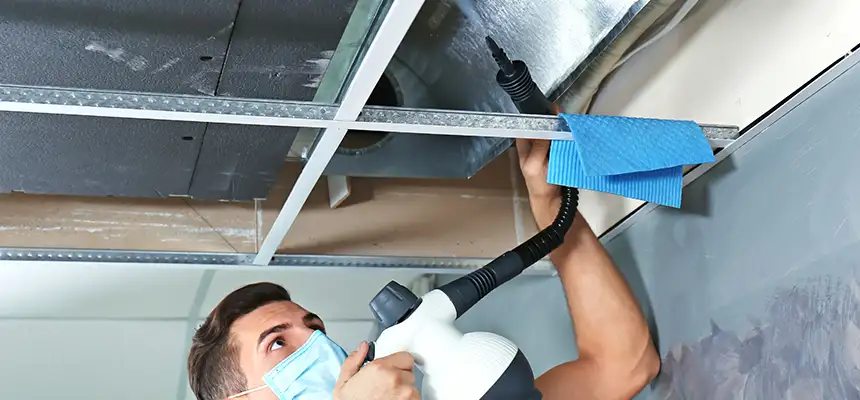 Our Air Duct Rodent Removal Services in Janesville, WI