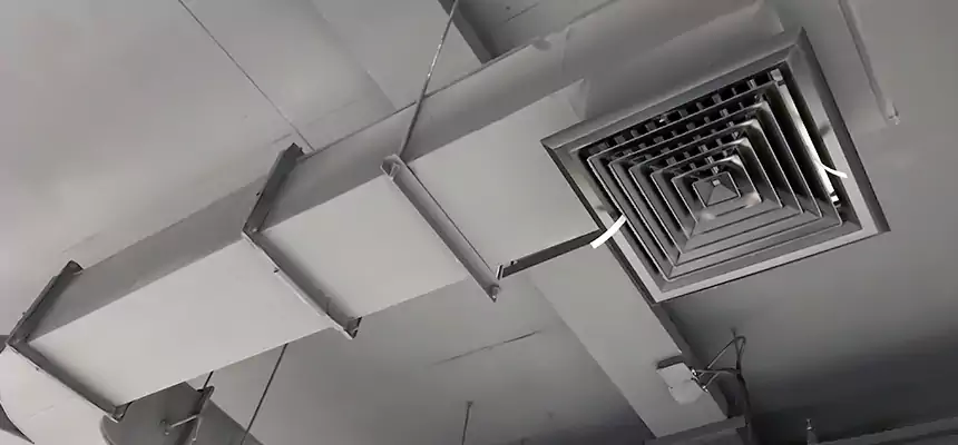 Restorative Allergy Relief Vent Cleaning – Coil, Blower & Housing Detail in Janesville