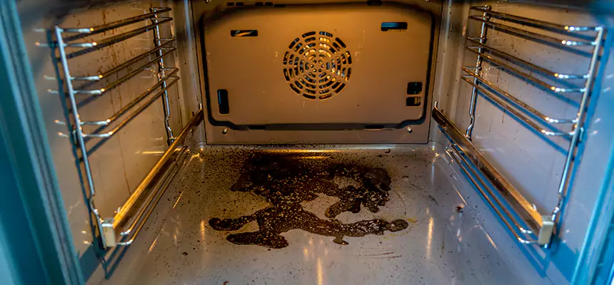 Our Dryer Vent Mold Cleaning Services in Janesville, WI