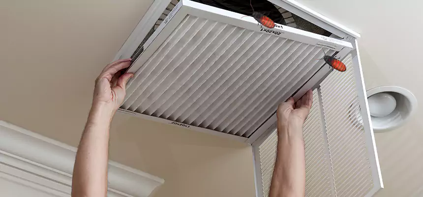 Our Insect Removal from Air Ducts Services in Janesville, WI