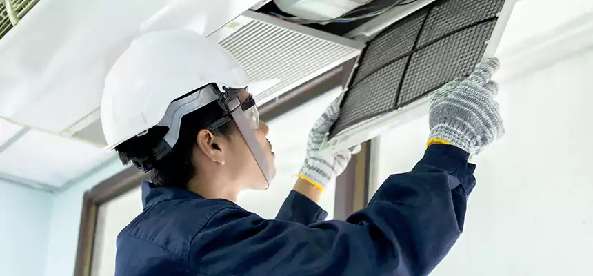 Our Mold & Mildew Removal from Air Ducts Services in Janesville, WI