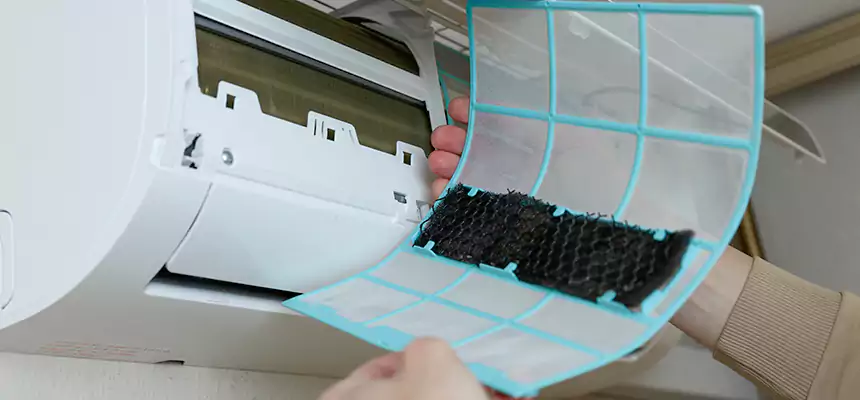 Gentle Ductwork Odor-Control Pet Dander Duct Cleaning in Janesville, WI