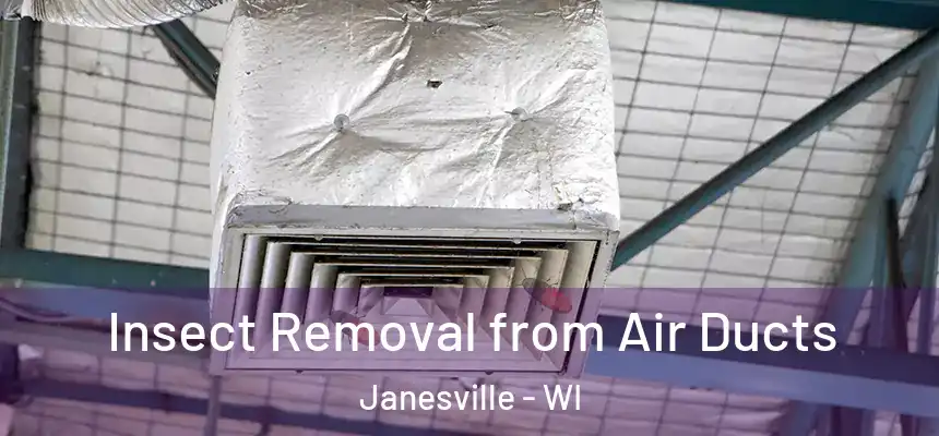 Insect Removal from Air Ducts Janesville - WI