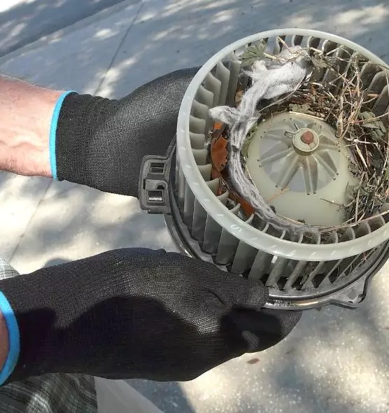 About Air Duct Mice Removal in Janesville, WI