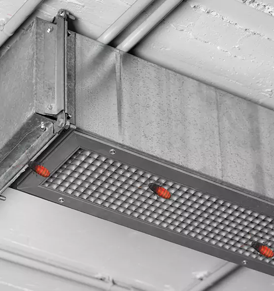 Affordable Insect Removal from Air Ducts in Janesville, WI
