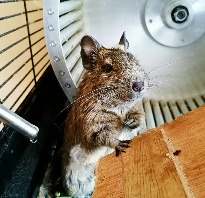 Why Homeowners & Businesses Trust Us Janesville, WI?